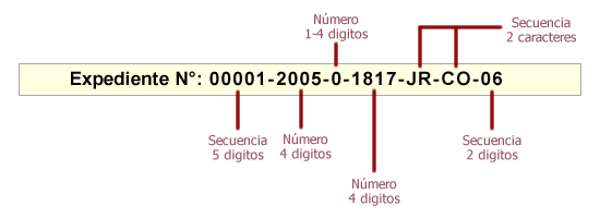 Imagen de formato de número de expediente
